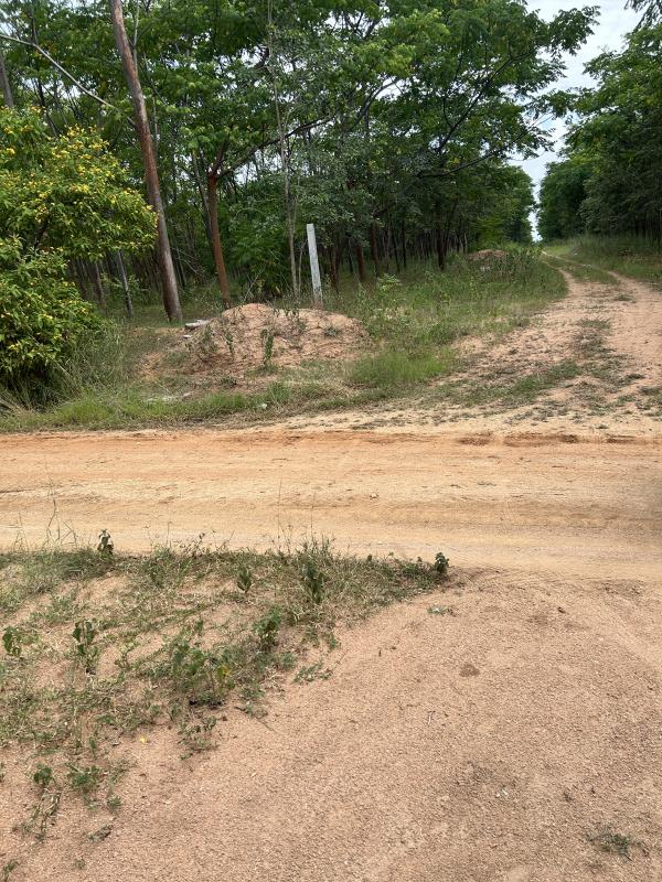 Jadcherla, Mahbubnagar photo 4