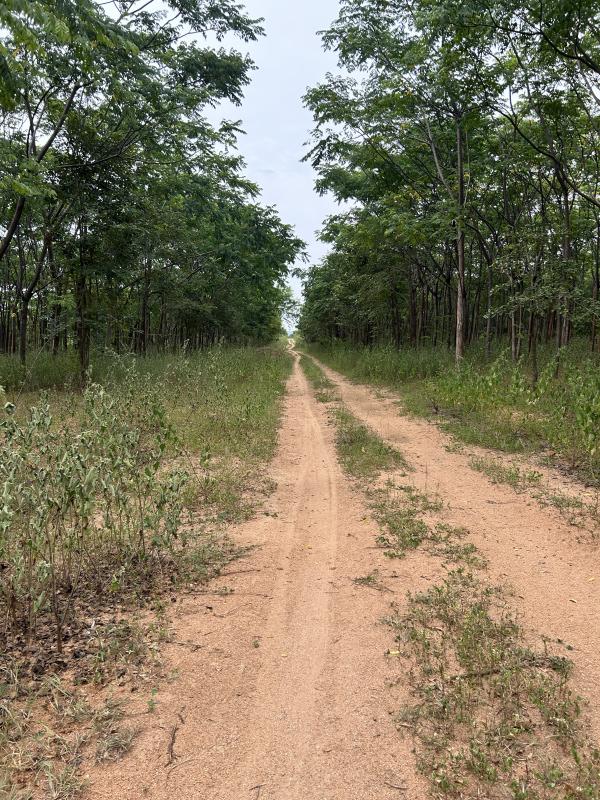Jadcherla, Mahbubnagar photo 5
