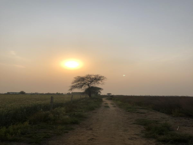 Bhatera, Jhajjar photo 4