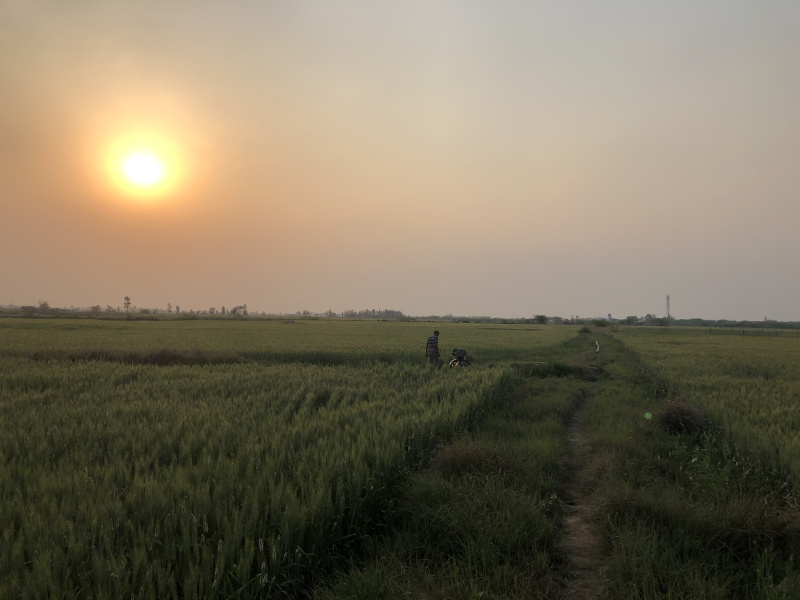 Bhatera, Jhajjar photo 5