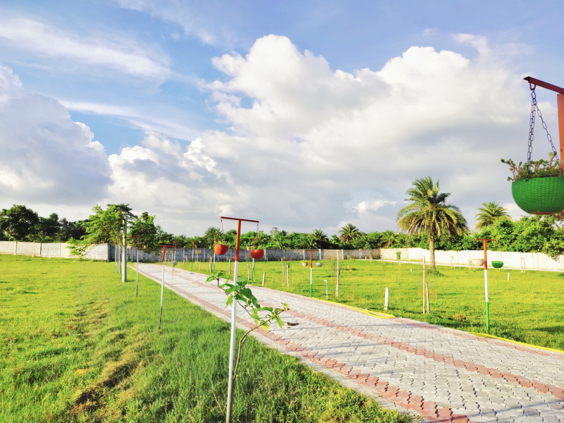 Punchguia Road, Asansol photo 4