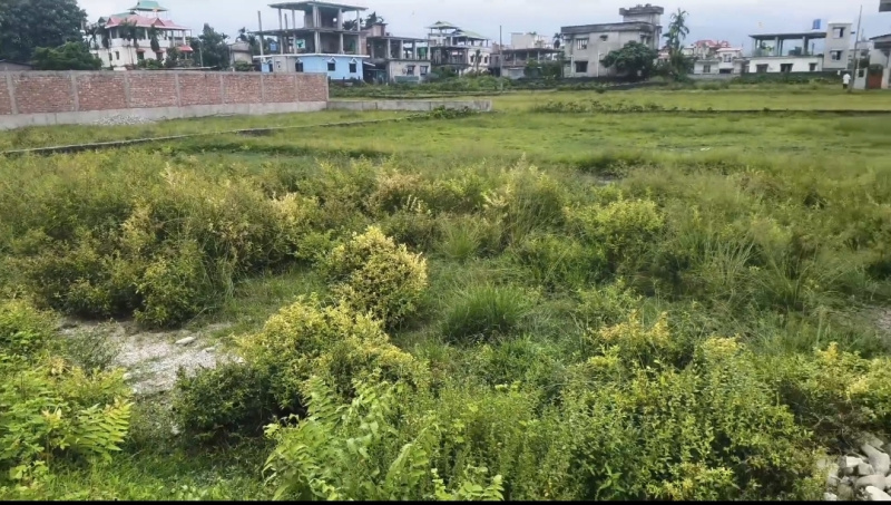 Devidanga, Siliguri photo 4