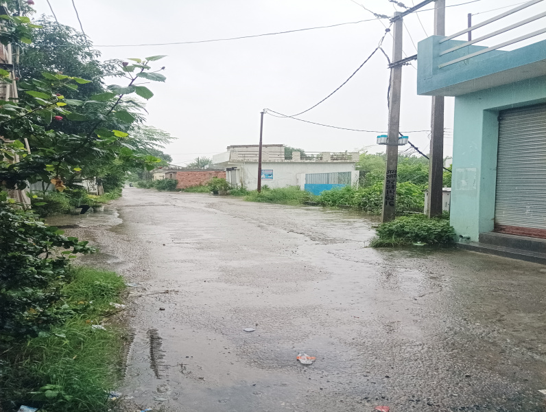 Dineshpur, Udham Singh Nagar photo 3