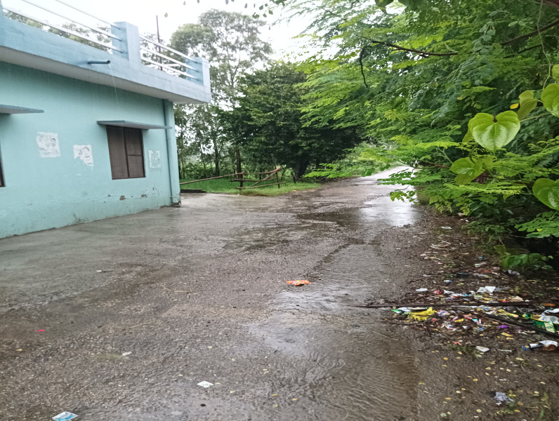 Dineshpur, Udham Singh Nagar photo 4