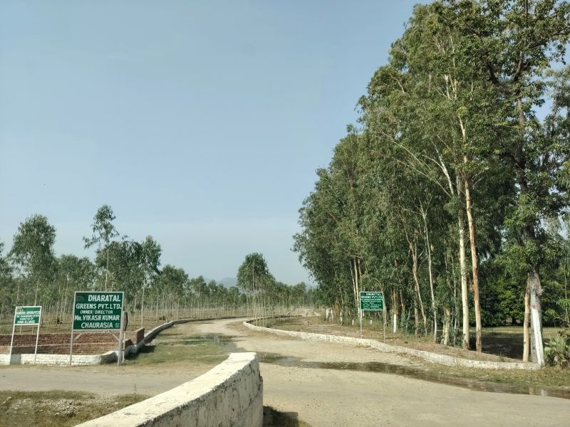 Behat, Saharanpur photo 3