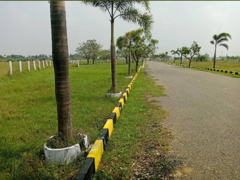 Ponneri, Thiruvallur photo 4