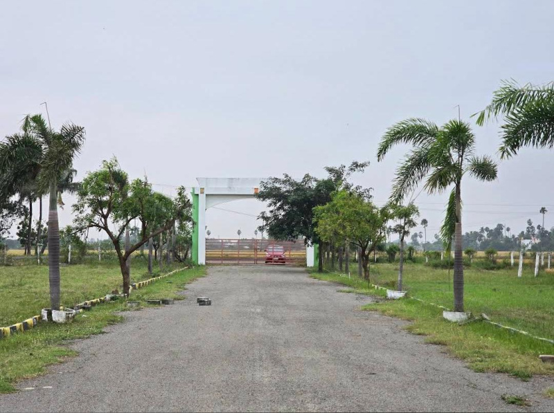 Ponneri, Thiruvallur photo 2