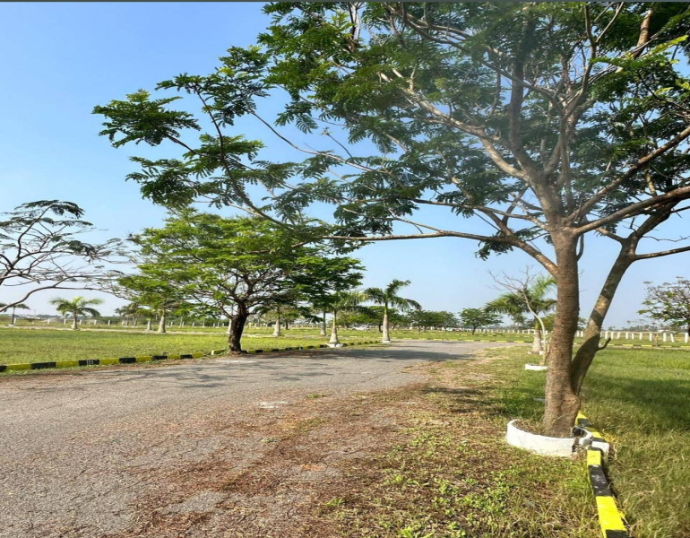 Ponneri, Thiruvallur photo 5
