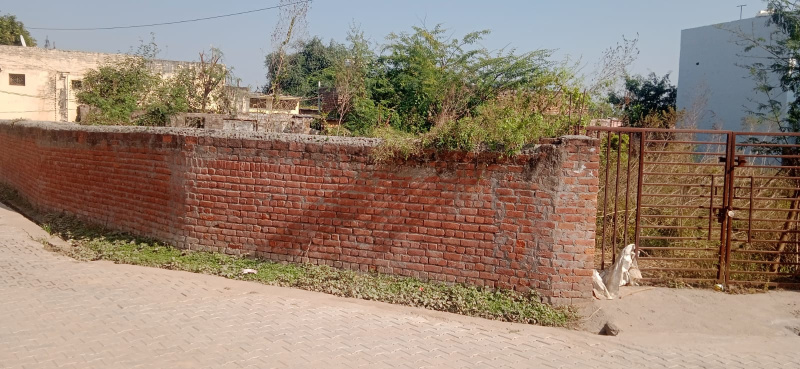 Saha, Ambala photo 3