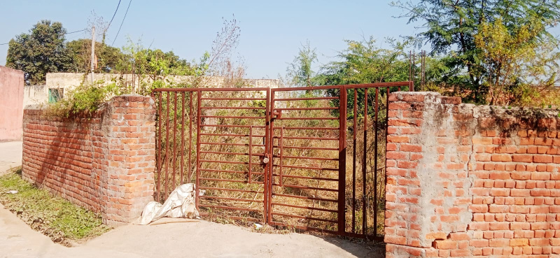 Saha, Ambala photo 2