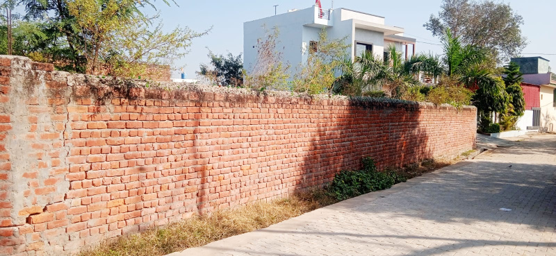 Saha, Ambala photo 4