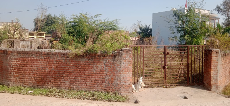 Saha, Ambala photo 5