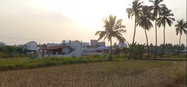 Kaspapettai, Erode photo 4