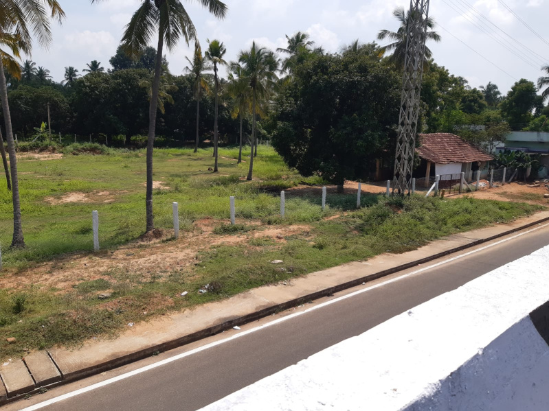 Natham, Dindigul photo 4