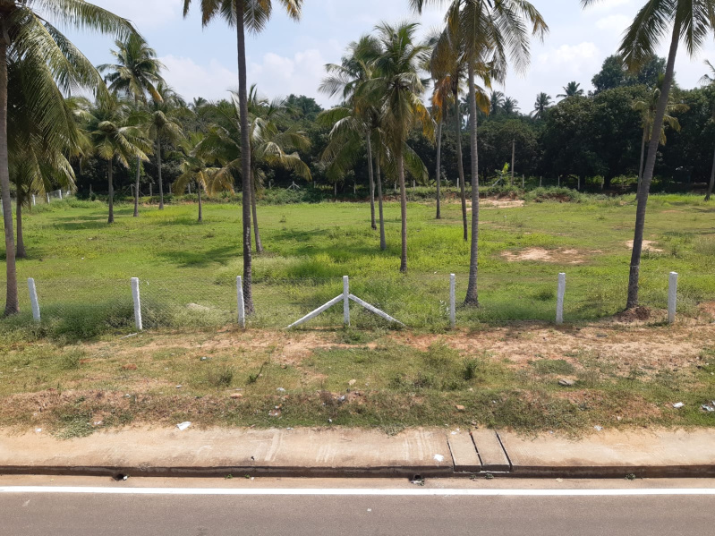 Natham, Dindigul photo 5