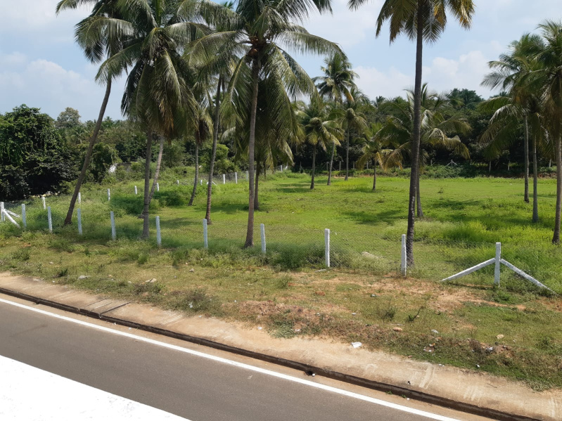 Natham, Dindigul photo 3