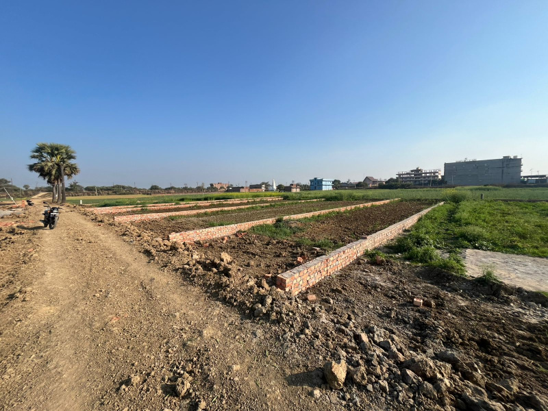 Beldari Chak, Patna photo 3