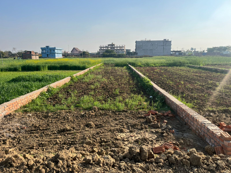 Beldari Chak, Patna photo 4