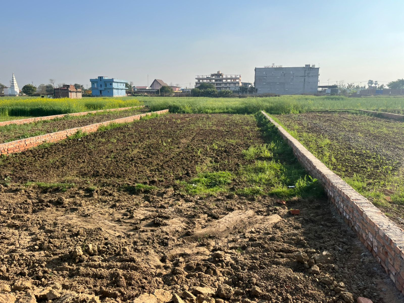 Beldari Chak, Patna photo 5