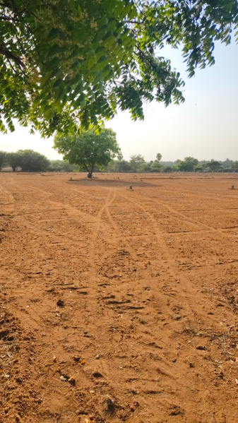 Kangeyam, Tirupur photo 3