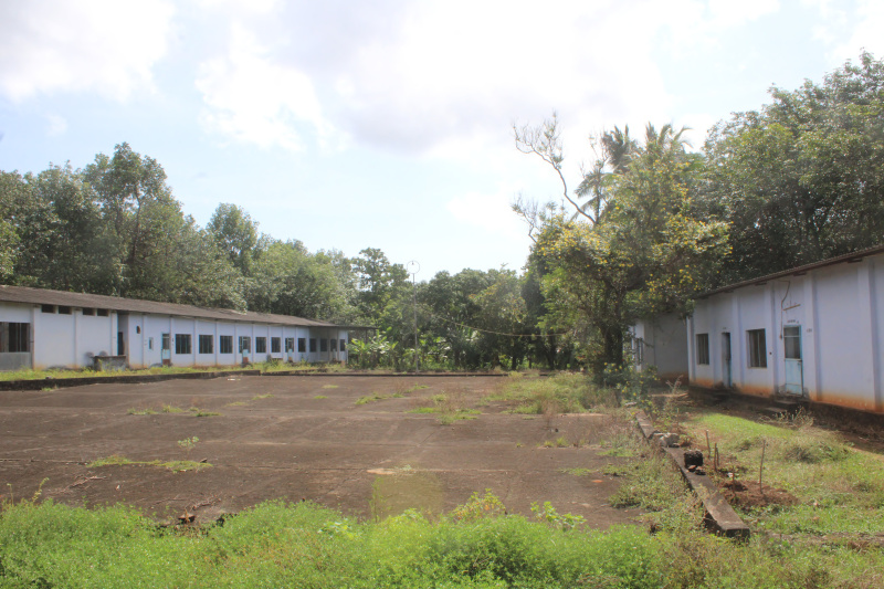 Vizhinjam, Thiruvananthapuram photo 3