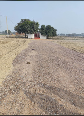 Ballabhgarh, Faridabad photo 3