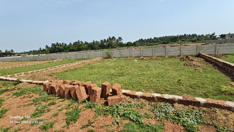 Chandanpur, Puri photo 4
