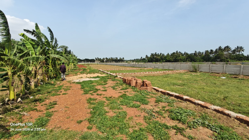 Chandanpur, Puri photo 5