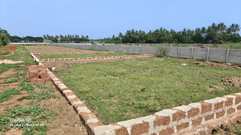 Chandanpur, Puri photo 3