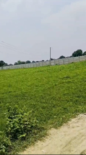 Chhatikara Road, Mathura photo 4
