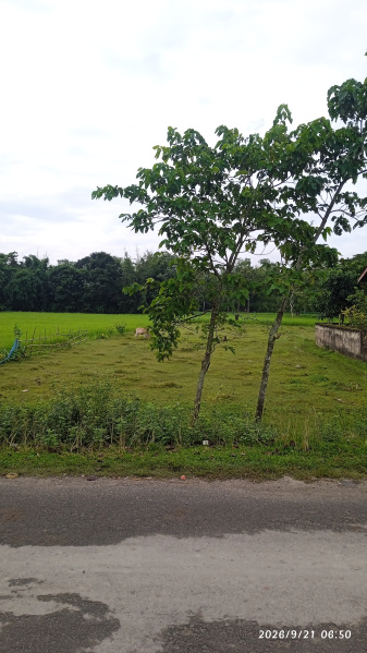 Changsari, Guwahati photo 3