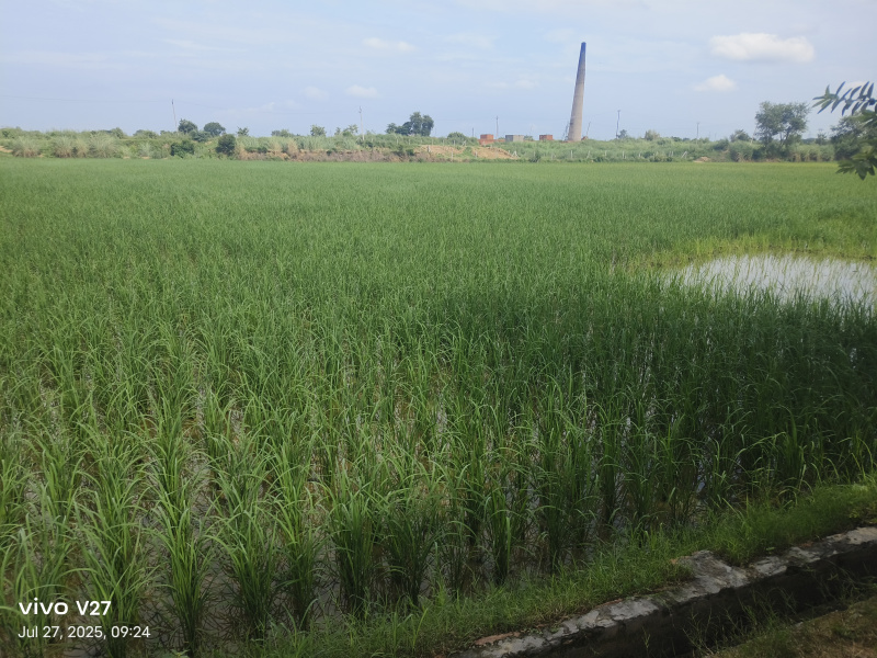Raj Nagar Extension, Ghaziabad photo 3