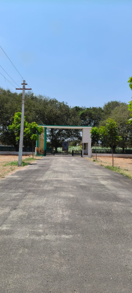 Theethipalayam, Coimbatore photo 3