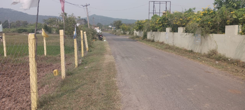 Acharapakkam, Chengalpattu photo 3