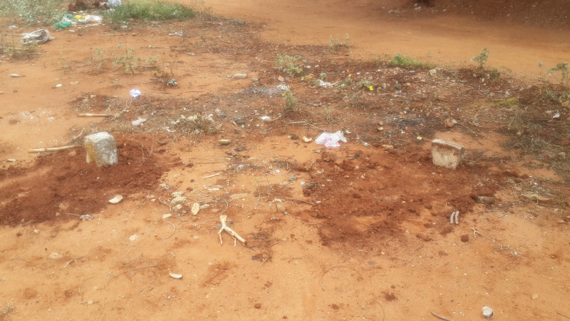 Sulur, Coimbatore photo 2