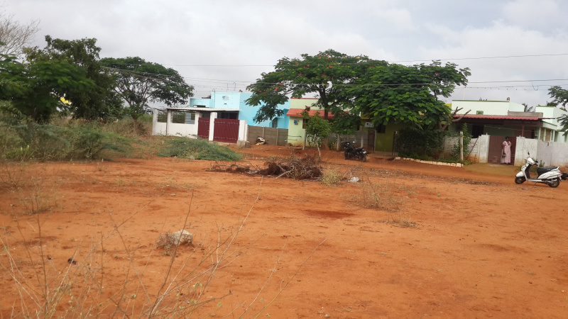 Sulur, Coimbatore photo 3