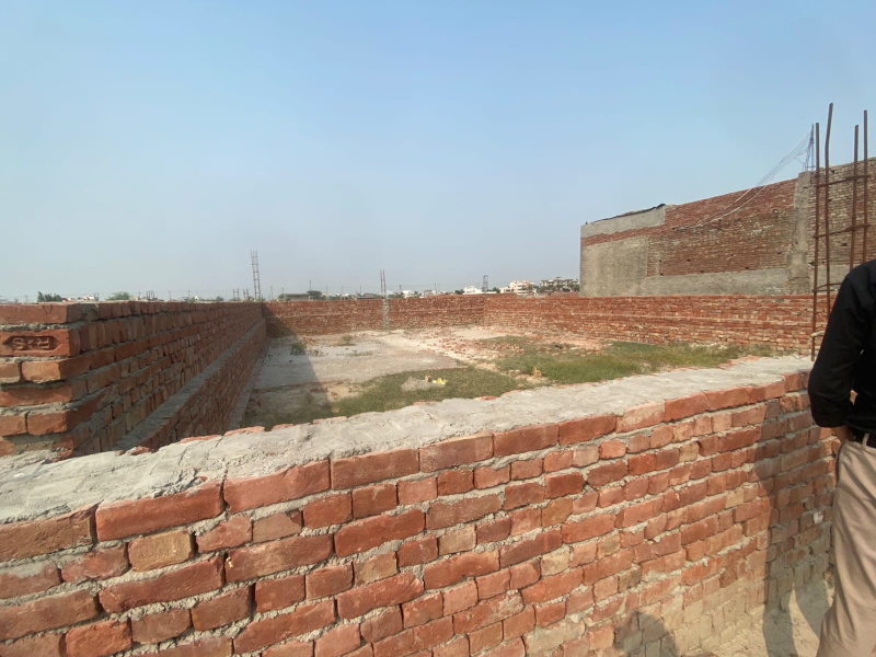 Asadpur Kayam, Aligarh photo 4