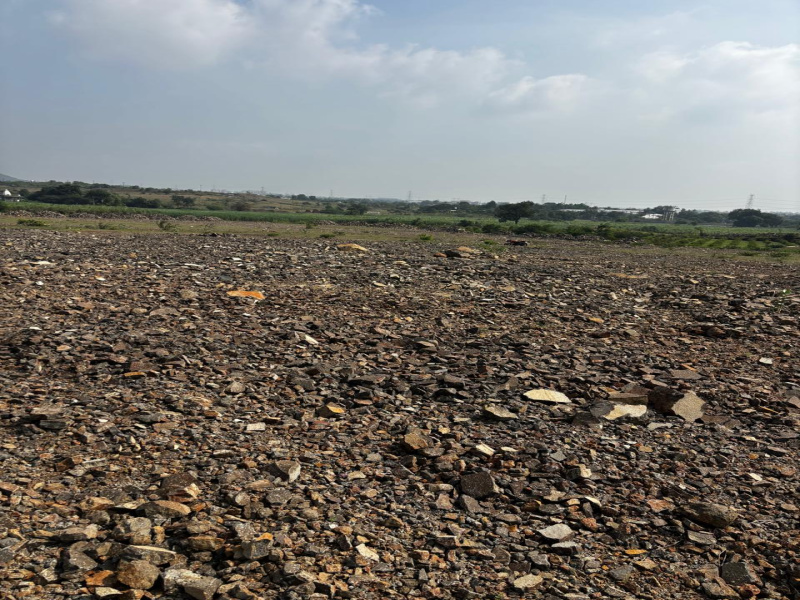 Wadebolai, Pune photo 4
