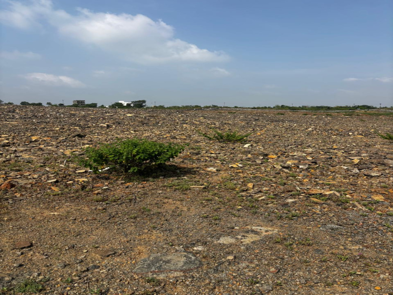 Wadebolai, Pune photo 3