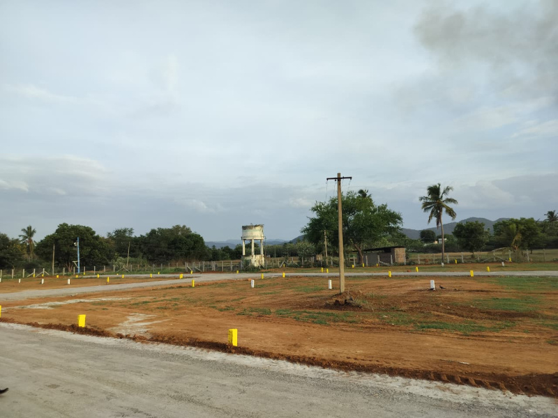 Madanur, Vellore photo 5
