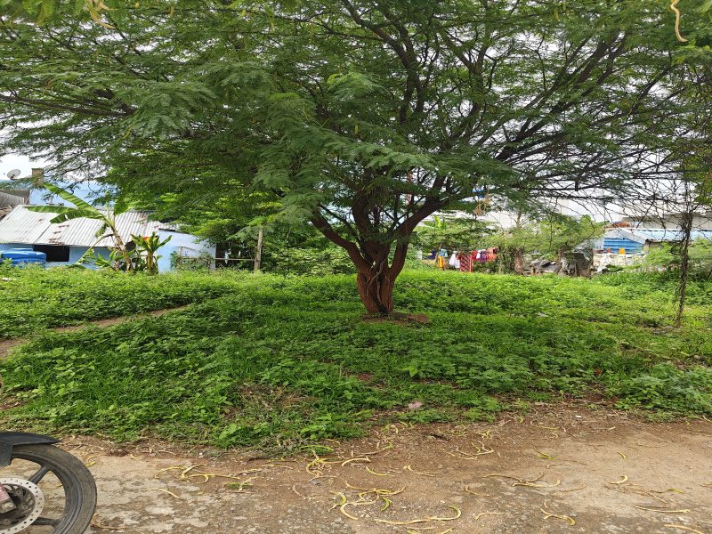 Ayothiyapattinam, Salem photo 2