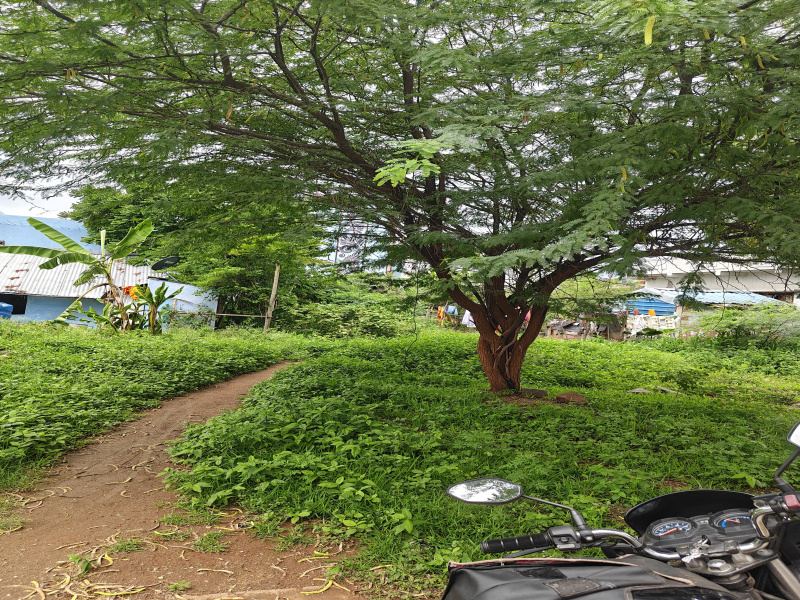 Ayothiyapattinam, Salem photo 3