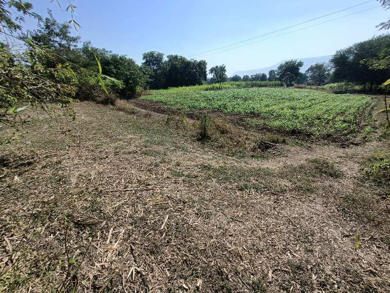Agricultural Land 16000 Sq.ft. for Sale in