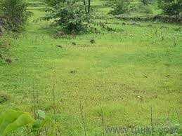  Agricultural Land for Sale in Vishal Nagar, Yamunanagar