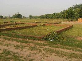  Residential Plot for Sale in Phalodi, Jodhpur