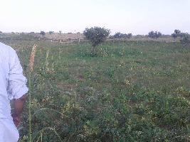  Agricultural Land for Sale in Chandwaji, Jaipur
