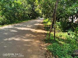  Residential Plot for Sale in Camurlim, North Goa, 