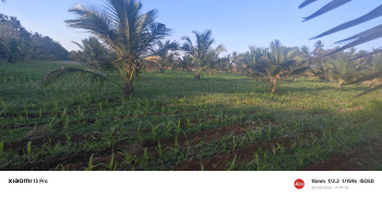  Agricultural Land for Sale in T Narasipura Road, Mysore