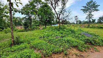  Agricultural Land for Sale in Ranka, Garhwa