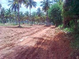  Residential Plot for Sale in Airport Road, Mysore